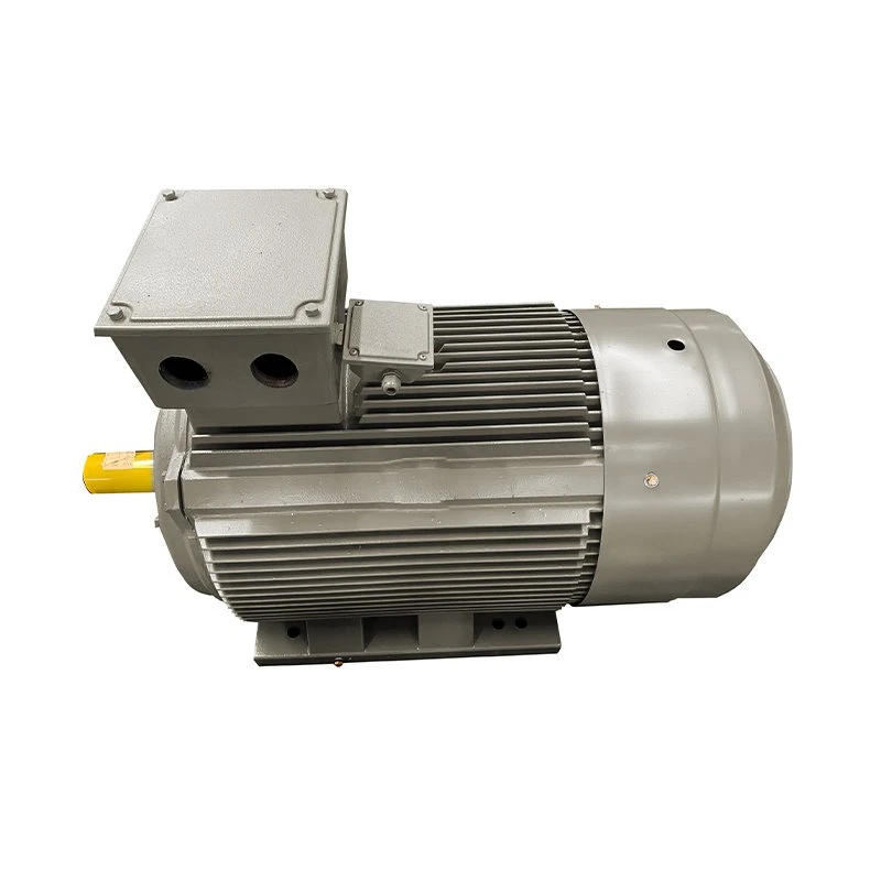 Motor Ip65 Sèrie IE5
