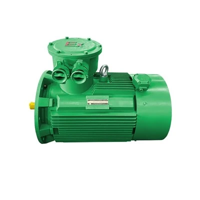 Motor de zones perilloses sèrie YBX4
